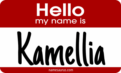 Hello my name is Kamellia png download
