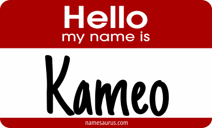 Hello my name is Kameo png download