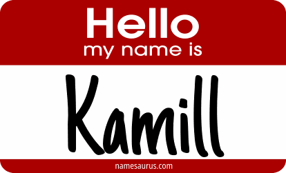 Hello my name is Kamill png download