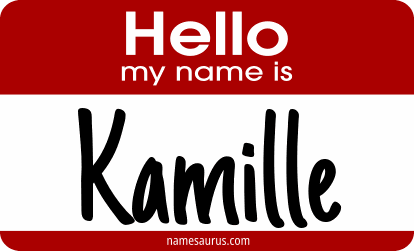 Hello my name is Kamille png download