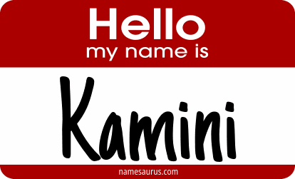 Hello my name is Kamini png download