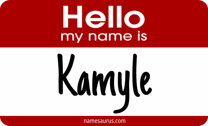 Hello my name is Kamyle png download