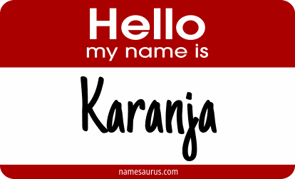 Hello my name is Karanja png download