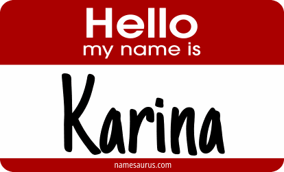 Hello my name is Karina png download