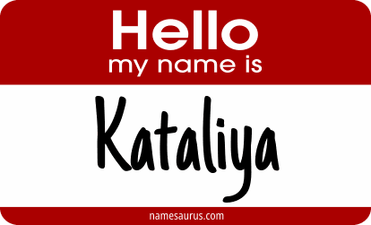 Hello my name is Kataliya png download