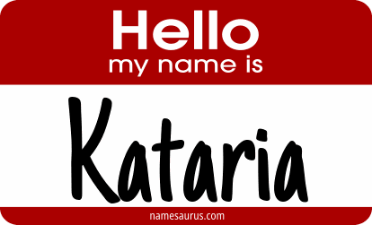 Hello my name is Kataria png download