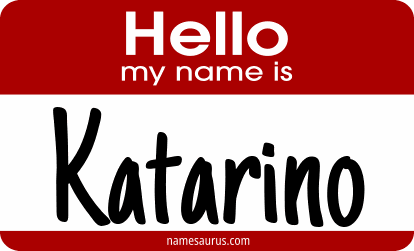 Hello my name is Katarino png download