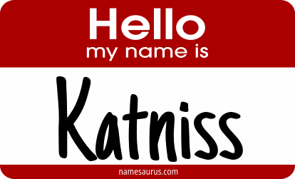 Hello my name is Katniss png download