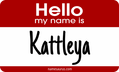 Hello my name is Kattleya png download
