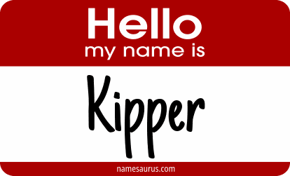 Hello my name is Kipper png download