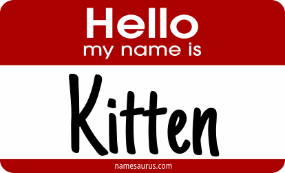 Hello my name is Kitten png download