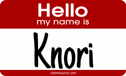 Hello my name is Knori png download
