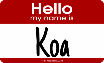 Hello my name is Koa png download