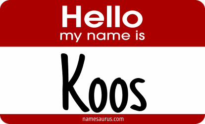 Hello my name is Koos png download