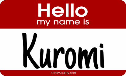 Hello my name is Kuromi png download