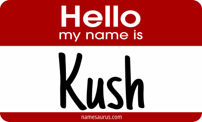 Hello my name is Kush png download