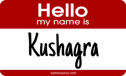 Hello my name is Kushagra png download