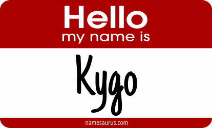 Hello my name is Kygo png download