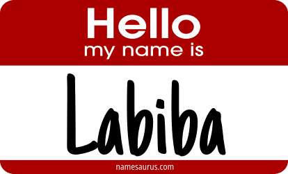 Hello my name is Labiba png download