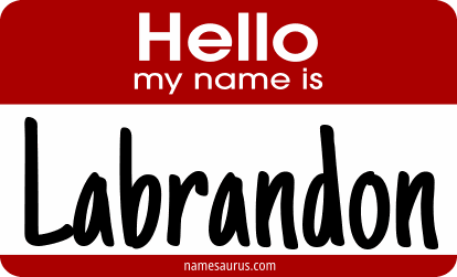 Hello my name is Labrandon png download