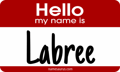 Hello my name is Labree png download