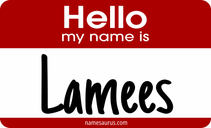 Hello my name is Lamees png download