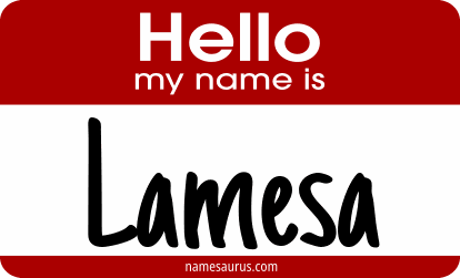 Hello my name is Lamesa png download