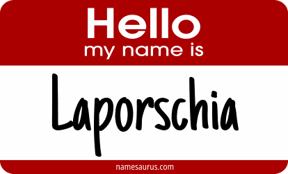 Hello my name is Laporschia png download