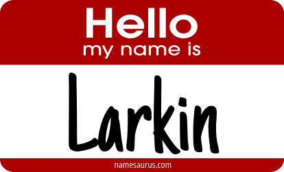 Hello my name is Larkin png download