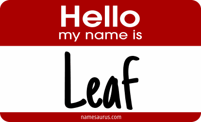 Hello my name is Leaf png download