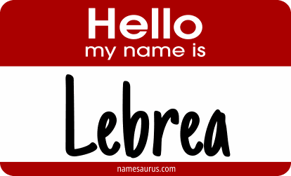 Hello my name is Lebrea png download