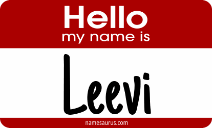 Hello my name is Leevi png download