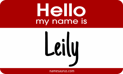 Hello my name is Leily png download