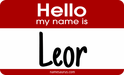 Hello my name is Leor png download