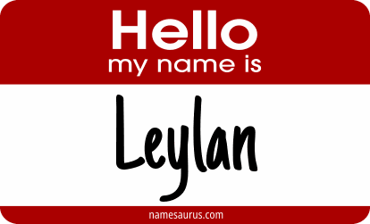 Hello my name is Leylan png download