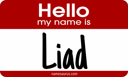 Hello my name is Liad png download