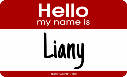 Hello my name is Liany png download