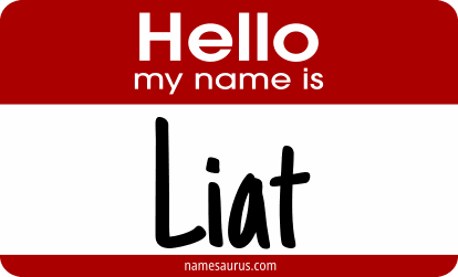 Hello my name is Liat png download