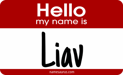 Hello my name is Liav png download