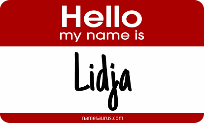 Hello my name is Lidja png download
