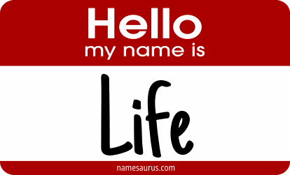 Hello my name is Life png download