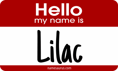 Hello my name is Lilac png download