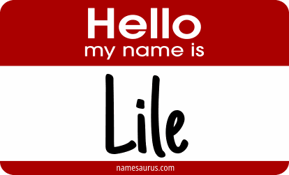 Hello my name is Lile png download