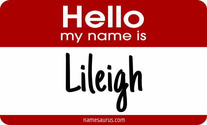 Hello my name is Lileigh png download