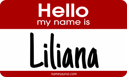 Hello my name is Liliana png download