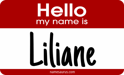 Hello my name is Liliane png download