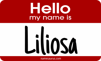 Hello my name is Liliosa png download