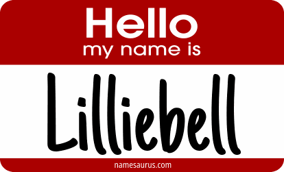 Hello my name is Lilliebell png download