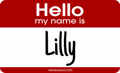Hello my name is Lilly png download