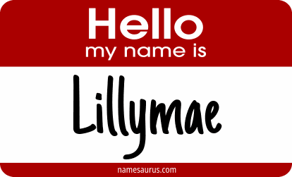 Hello my name is Lillymae png download